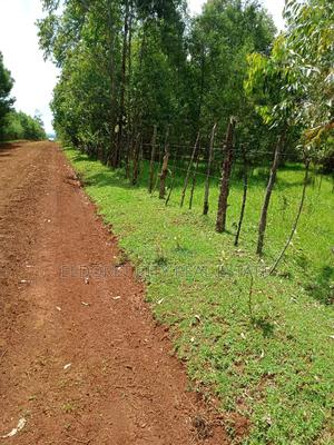 15 Acres Ngara Fall Nandi County - main view