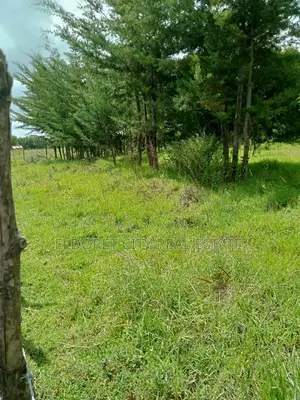 15 Acres Ngara Fall Nandi County