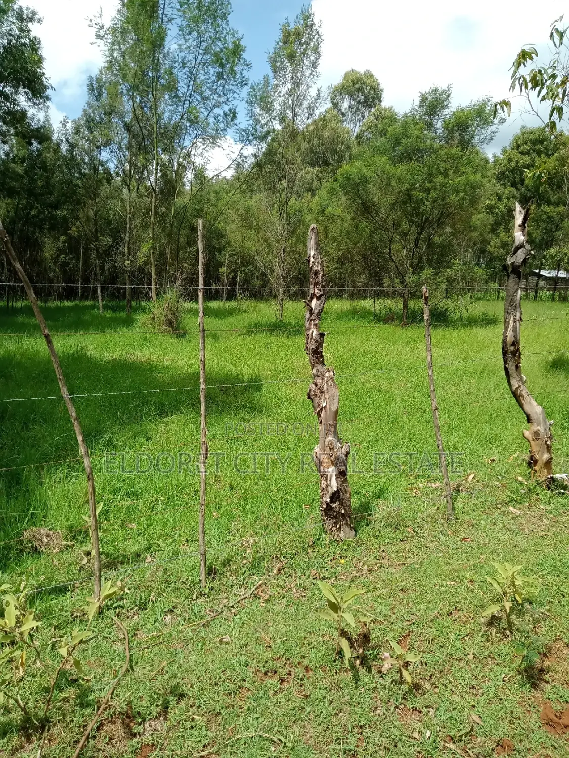 15 Acres Ngara Fall Nandi County