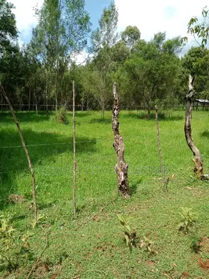 15 Acres Ngara Fall Nandi County