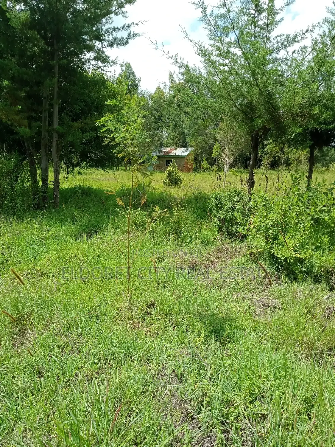 15 Acres Ngara Fall Nandi County
