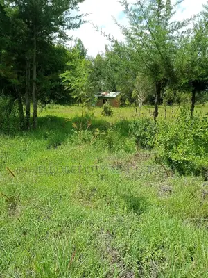 15 Acres Ngara Fall Nandi County