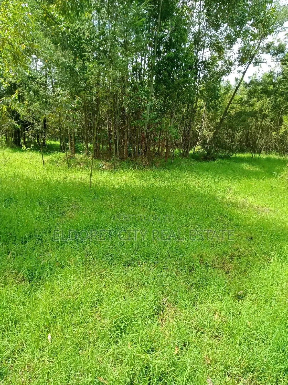 15 Acres Ngara Fall Nandi County