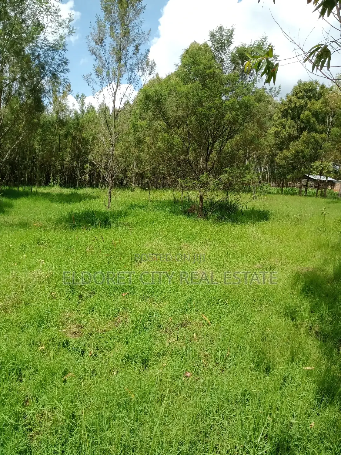 15 Acres Ngara Fall Nandi County