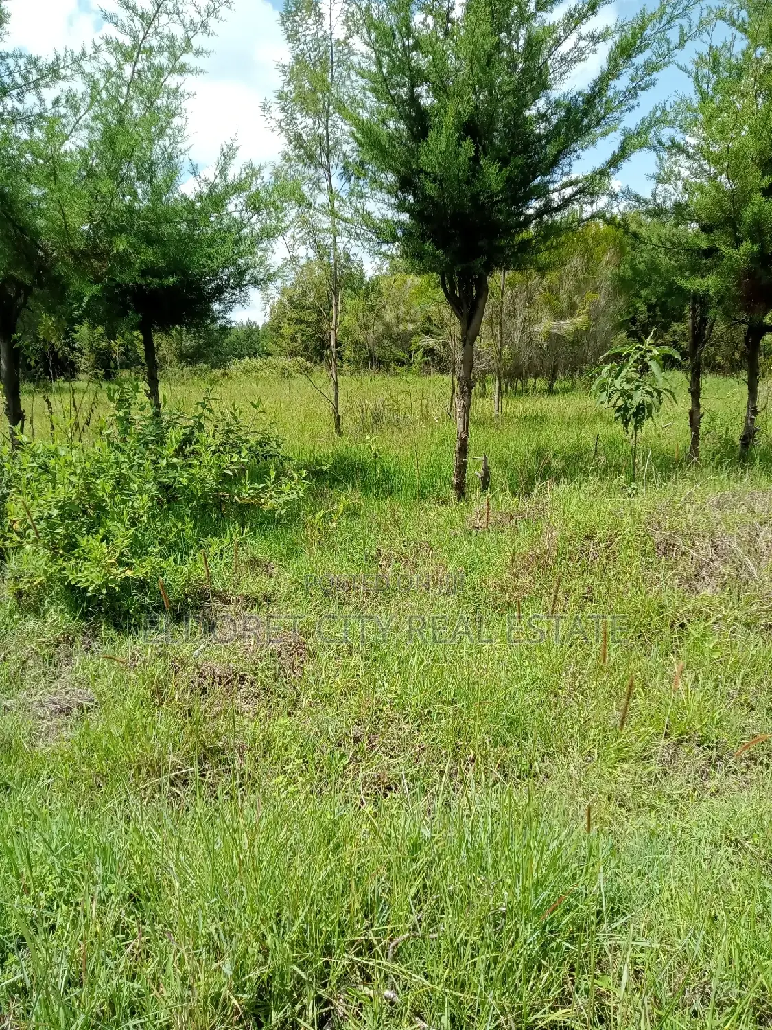 15 Acres Ngara Fall Nandi County