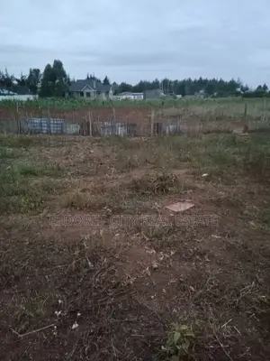 1/8 Plot Ilula Less Than 200 Metres From Tarmac