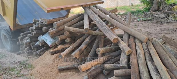 Kikambala 50 by 100 - thumbnail 3