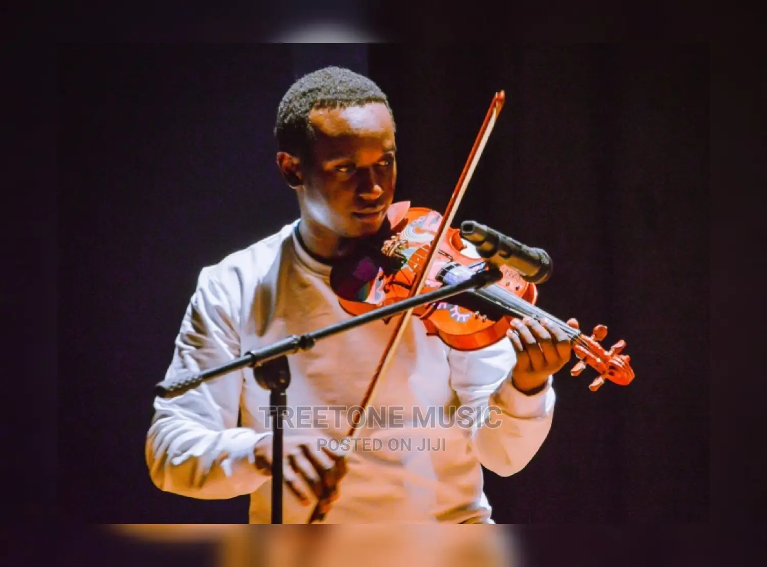 Violinist for Hire