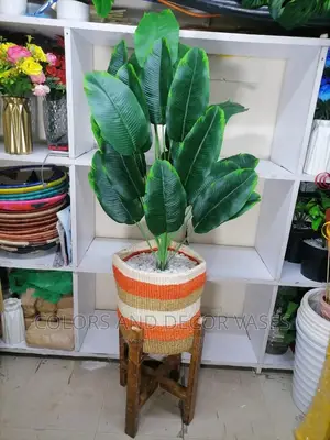 Artificial Plant + Basket +Stand