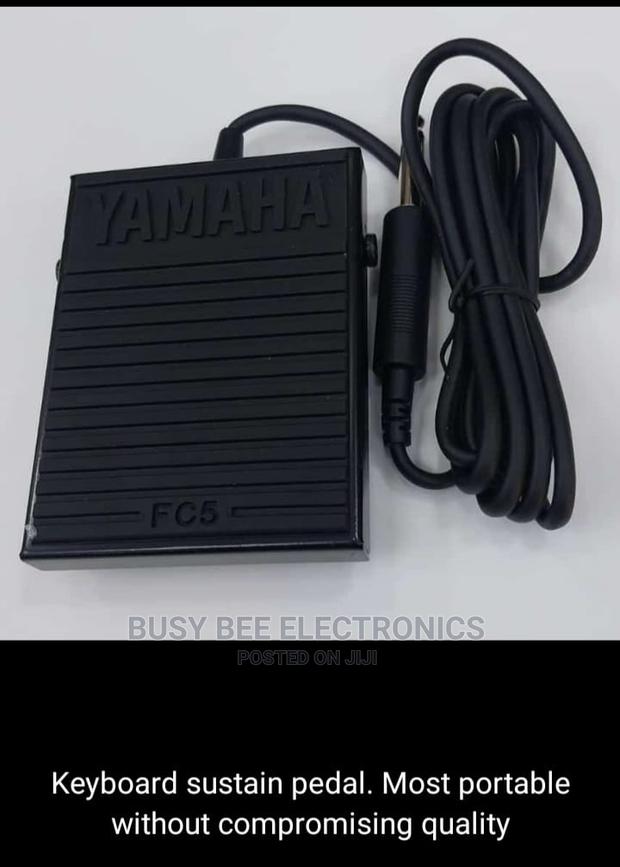 Keyboard Sustain Pedal - main view