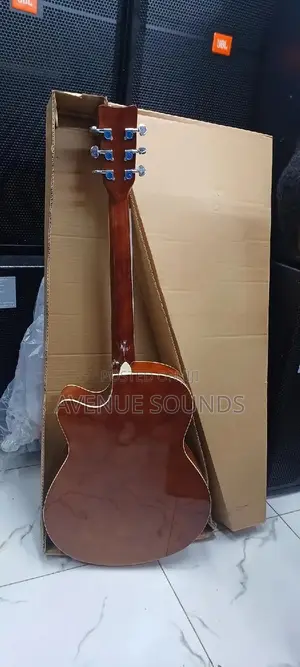 Gibson Guitar