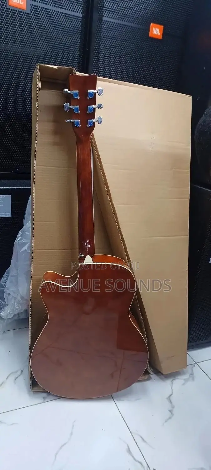 Gibson Guitar