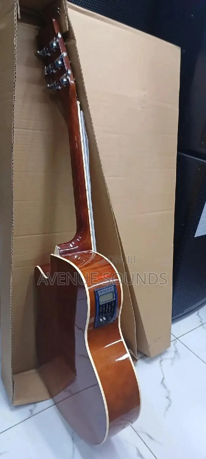 Gibson Guitar