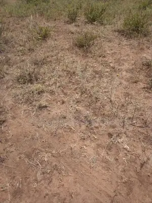 2 Acres Along Makindu-Wote Road in Mulili Are for Sale