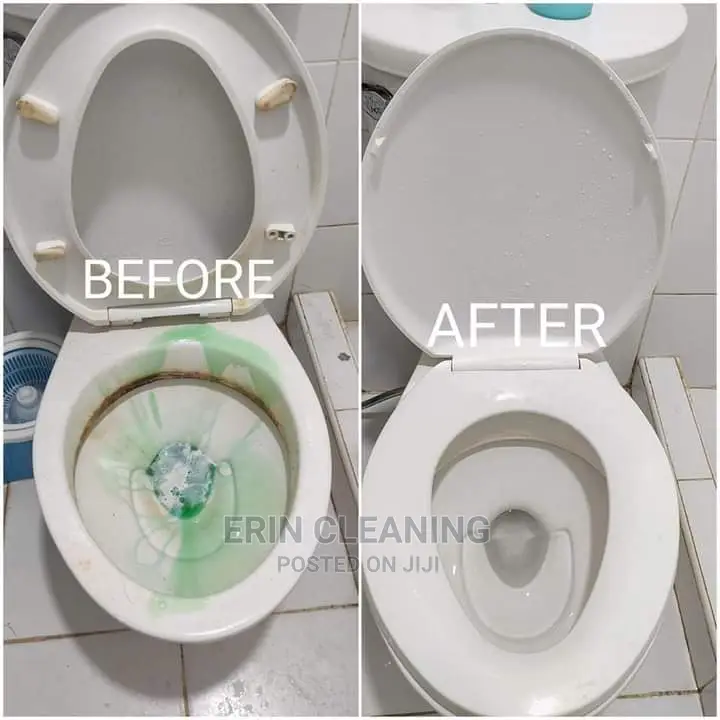 Toilet Disinfection Services