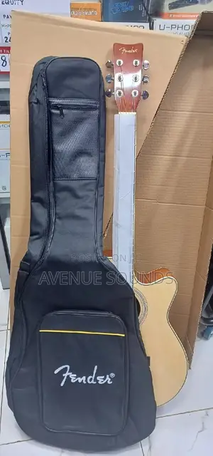 Fender Acoustic Guitar With Fender Bag