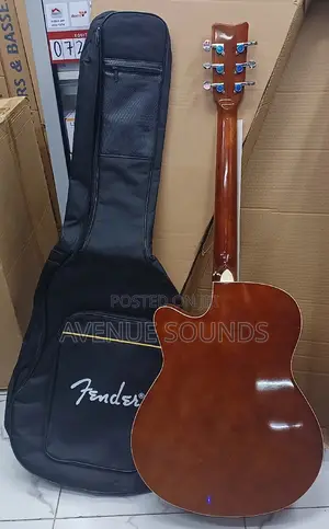 Fender Professional Guitar With Padded Bag
