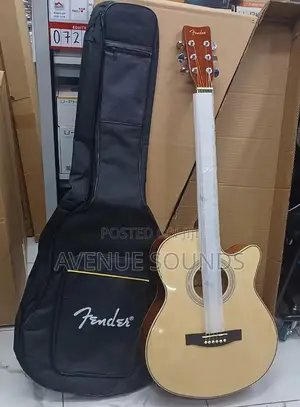 Fender Professional Guitar With Padded Bag