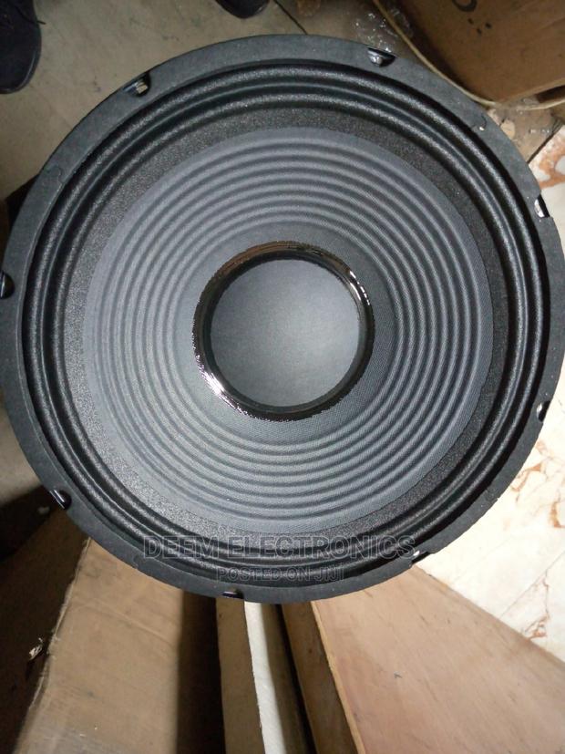 Naked Speaker Gedun 12inch - thumbnail 2