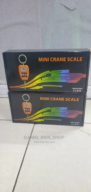 300kg Mini Crane Scale