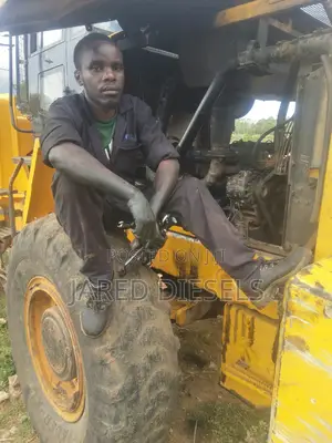 Diesel Generators And Heavy Machinery Mechanic