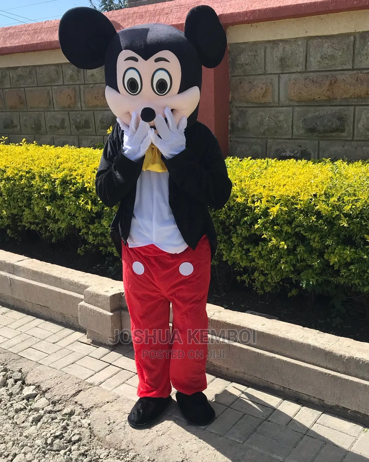 Mascots Mickey and Minnie for Hire