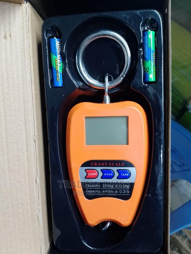 Reliable 200 Kg Crane Scale - main view