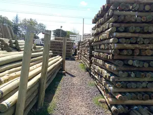 Fiber, Faiba Optic Internet Poles for Sale