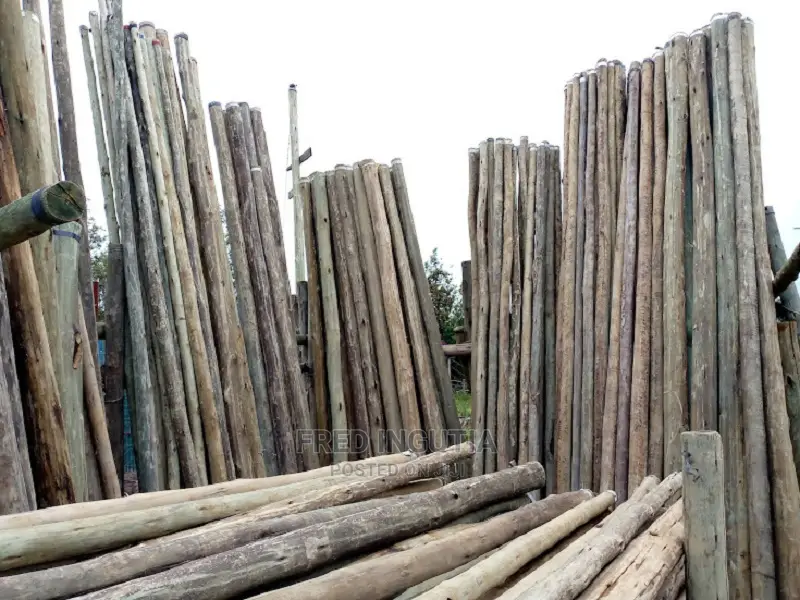 Fiber, Faiba Optic Internet Poles for Sale