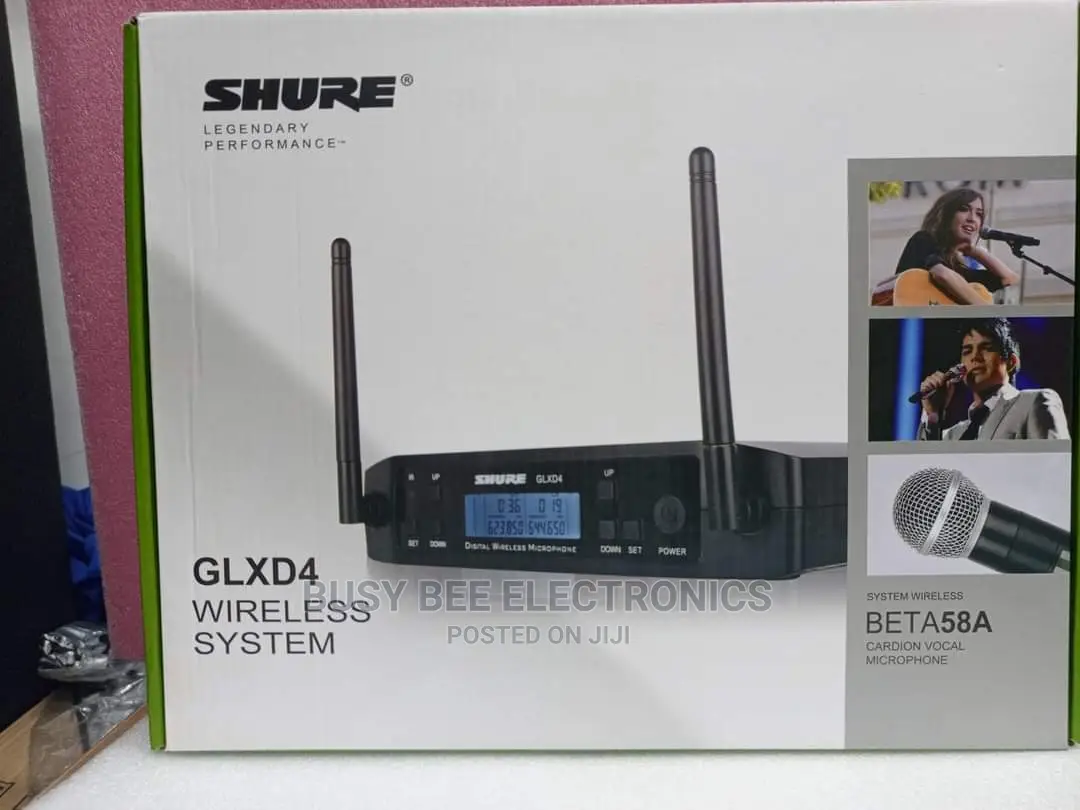 Perfomance Legendary Wireless Microphone