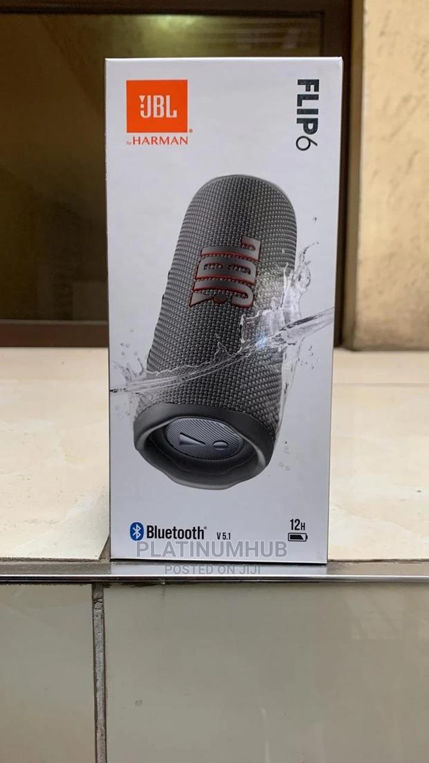 JBL Flip 6 (Grey) - main view