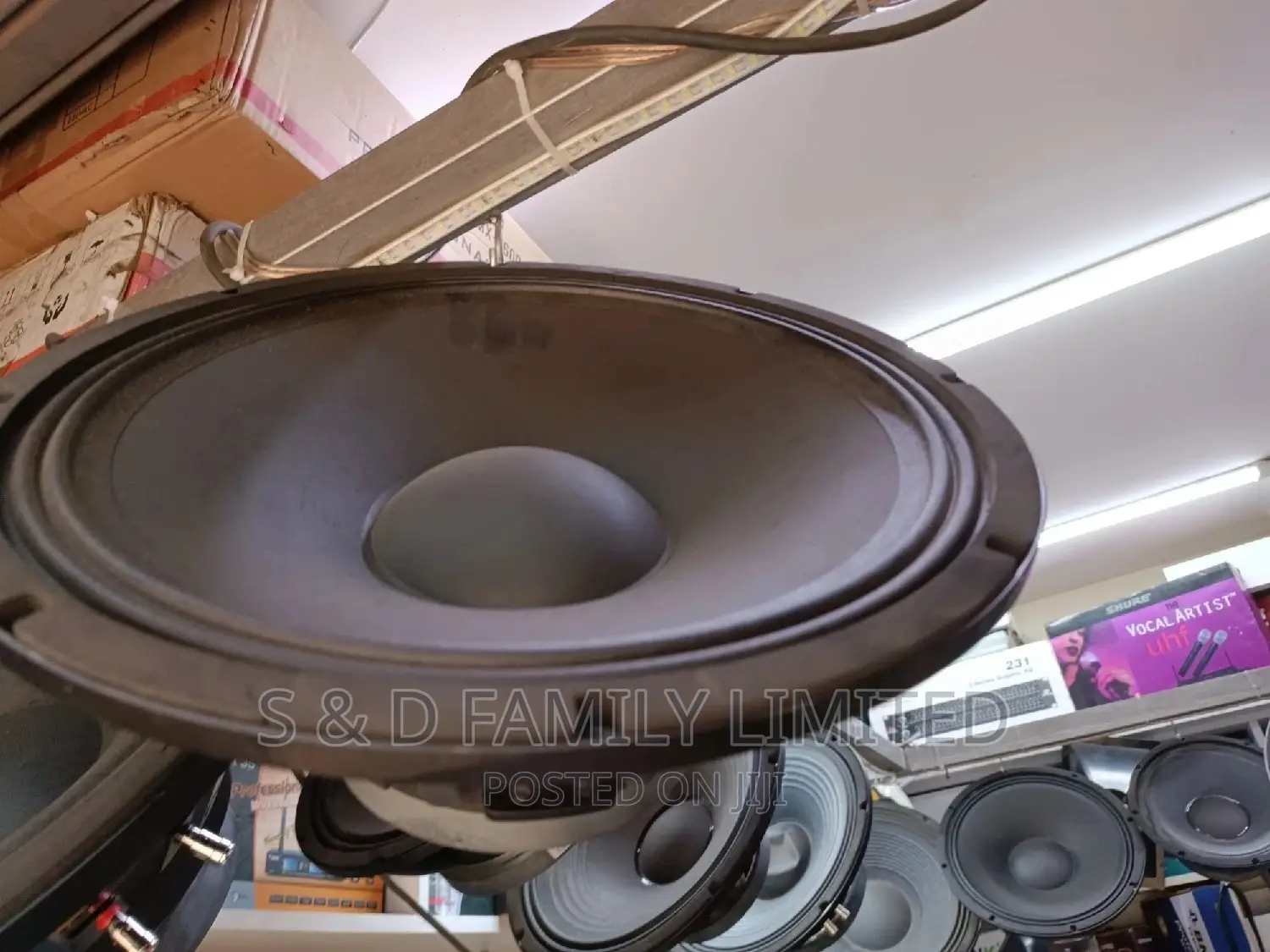 Ashly 15 Inch LP-158H Naked Speaker