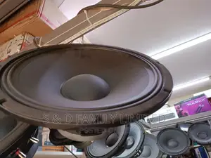 Ashly 15 Inch LP-158H Naked Speaker