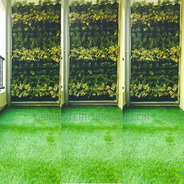Grass Carpet Grass Carpet Grass Carpet Grass Carpet Grass