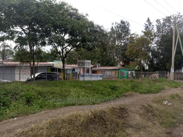 Rimpa Road Front Stalls