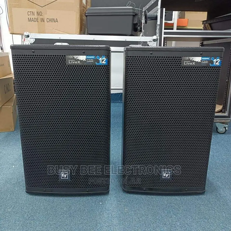 Livex 12 Speaker