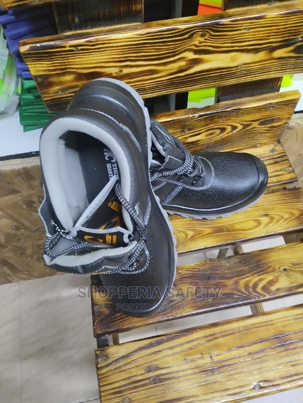 Tiger Master - main view