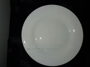 6pc Ceramic Dinner Plate
