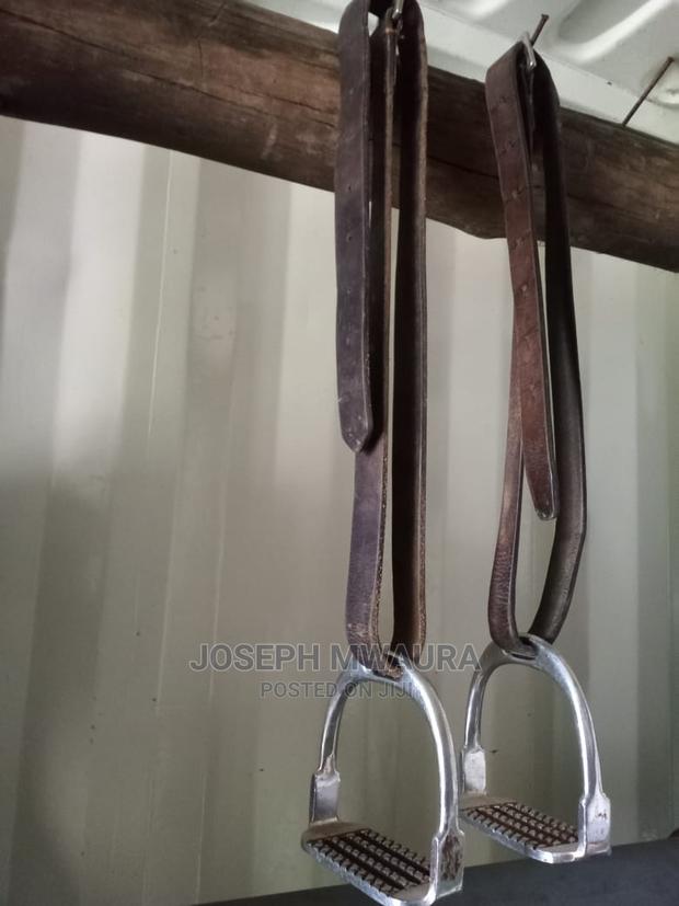 Horses Riding Equipment - thumbnail 14