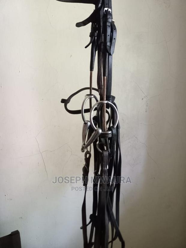Horses Riding Equipment - thumbnail 9
