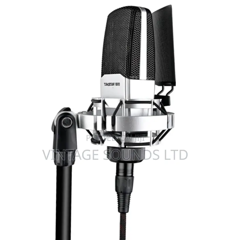 TAKSTAR SM18 EL Professional Condenser Recording Microphone