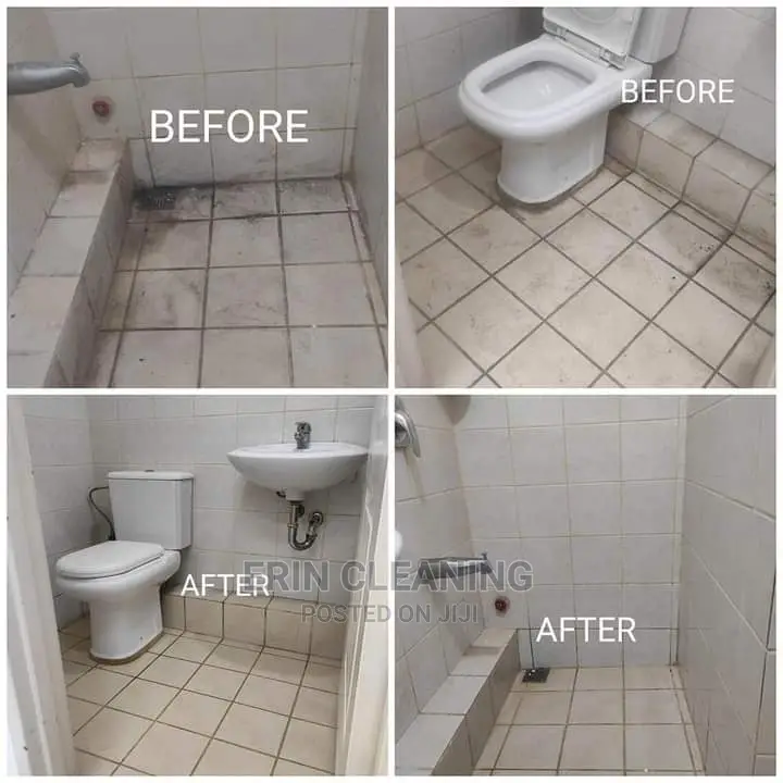Bathroom and Toilet Cleaning