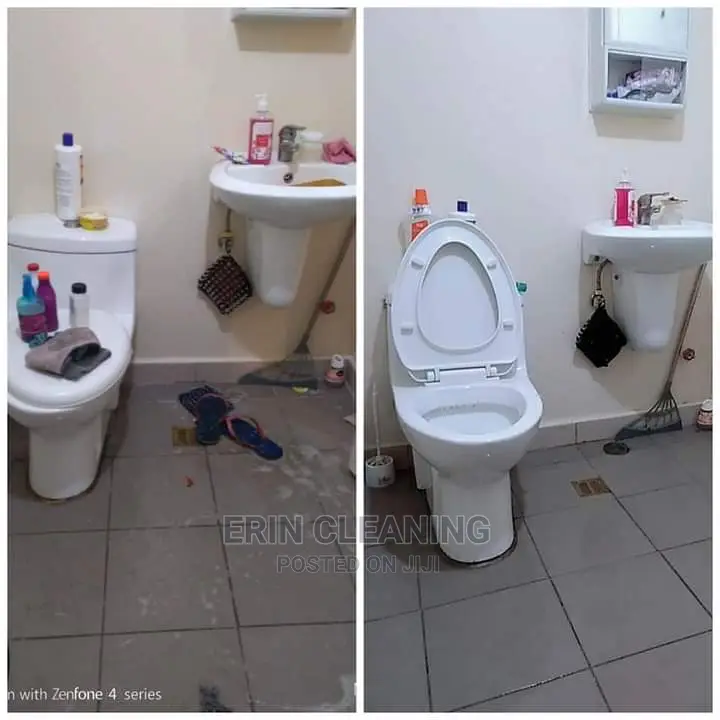 Toilet Disinfection and Sterilization