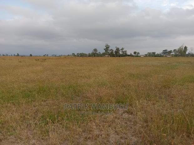 15 Acres for Sale - thumbnail 2