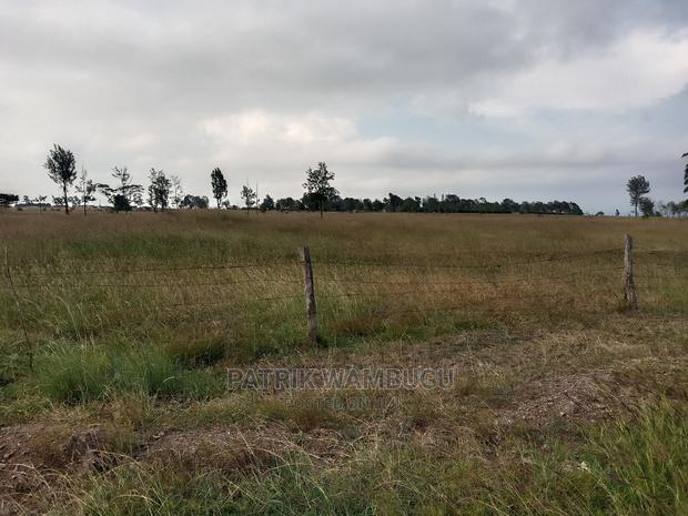 15 Acres for Sale - thumbnail 3