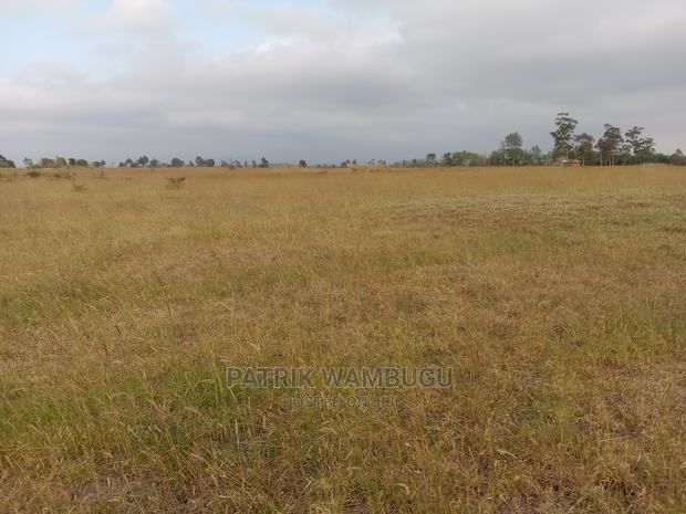 15 Acres for Sale - thumbnail 4