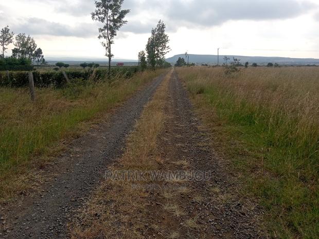 15 Acres for Sale - thumbnail 5