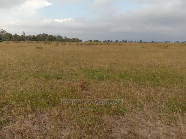 15 Acres for Sale - thumbnail 6
