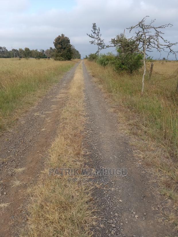 15 Acres for Sale - thumbnail 7