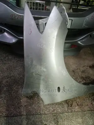 Auris 2010 Wing(Fender).